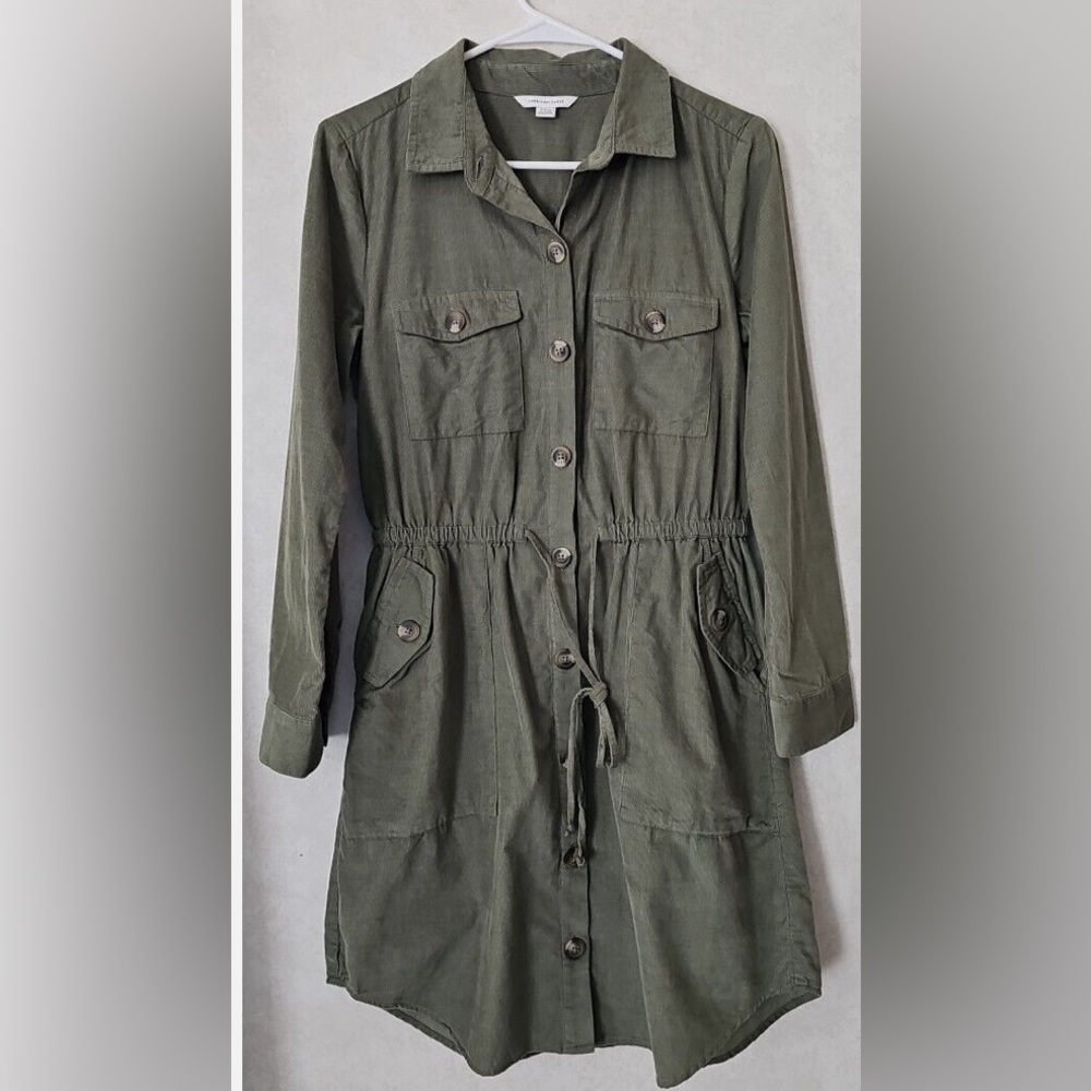 AE Olive Green Shirtdress